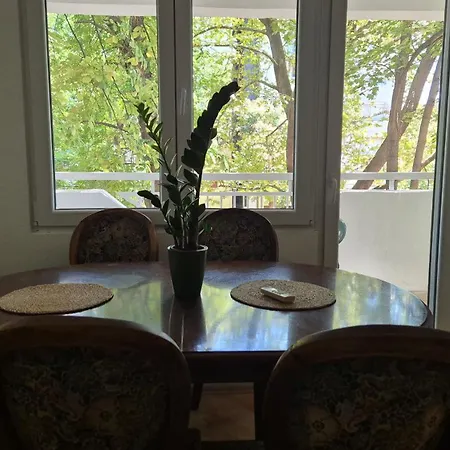 Skupi Apartment *